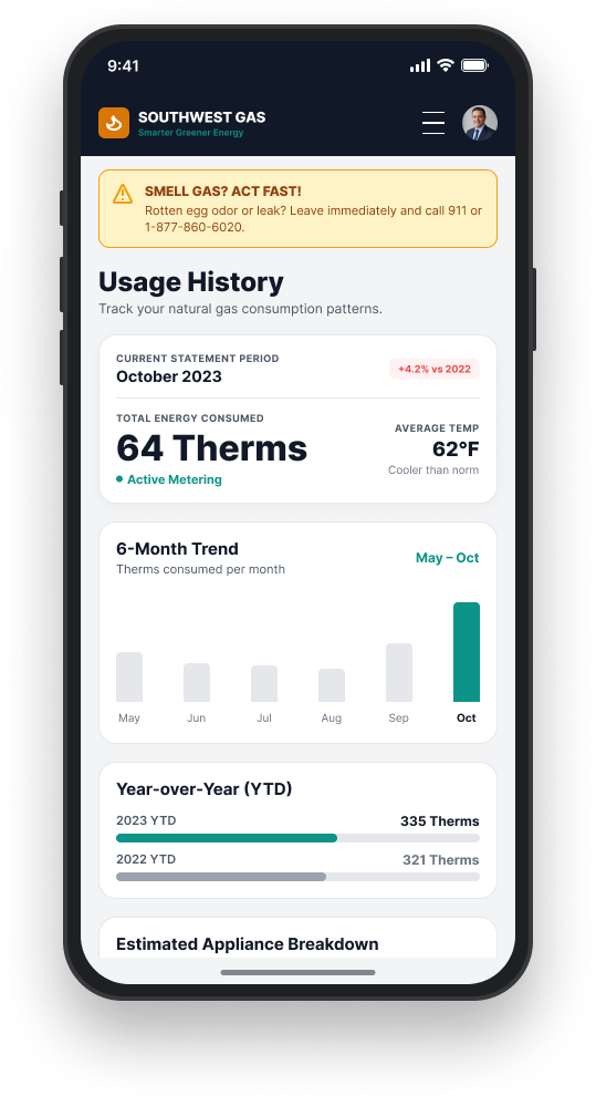 Mobile app service request screen showing active meter reading verification request and request history